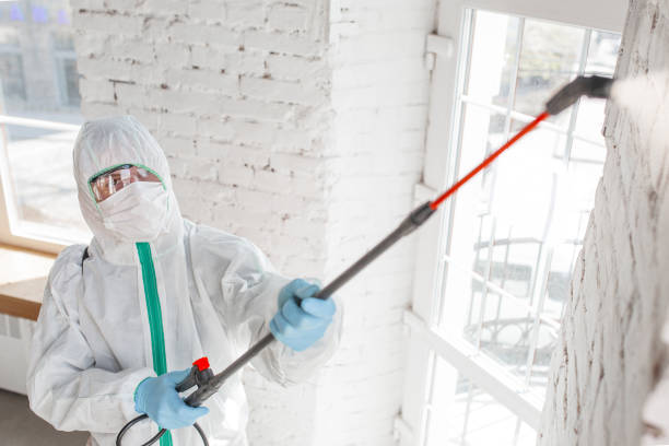 Best Forensic Mold Investigation  in Croton On Hudson, NY