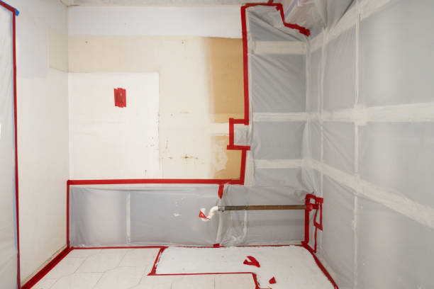 Best Real Estate Mold Inspection  in Croton On Hudson, NY