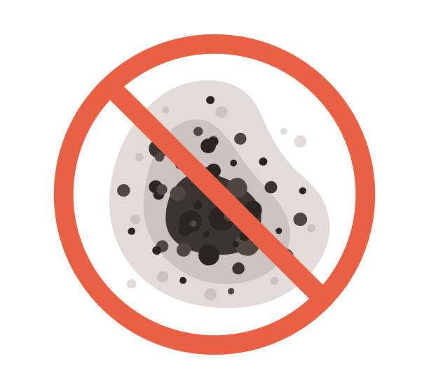 Best Air Quality Testing for Mold Spores  in Croton On Hudson, NY
