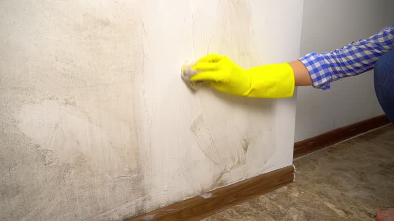 Best Airborne Mold Testing  in Croton On Hudson, NY