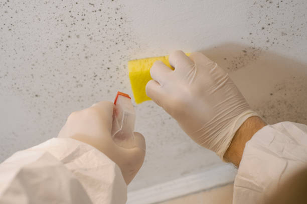 Best Dehumidification Services  in Croton On Hudson, NY