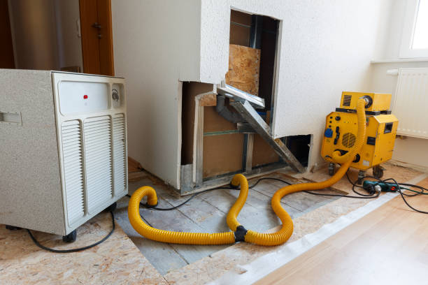 Best Water Damage & Mold Remediation  in Croton On Hudson, NY
