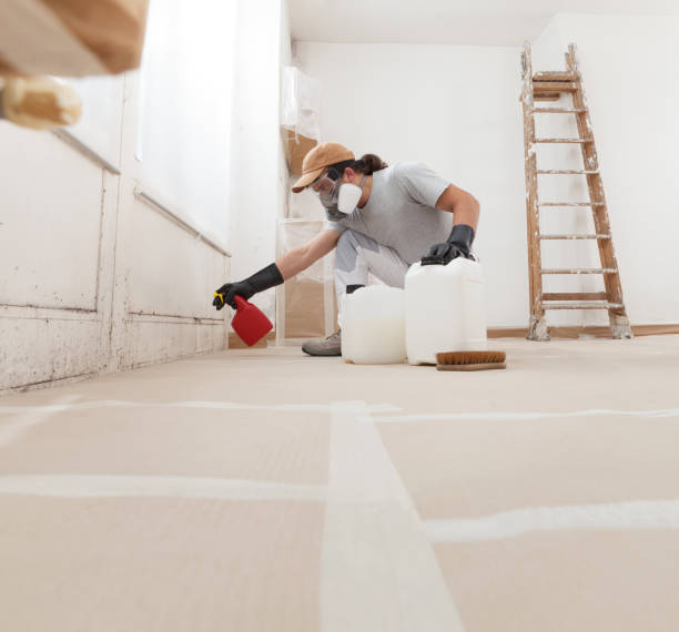 Best Emergency Mold Remediation  in Croton On Hudson, NY