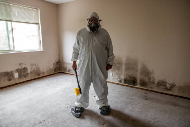 Best Industrial Mold Remediation  in Croton On Hudson, NY