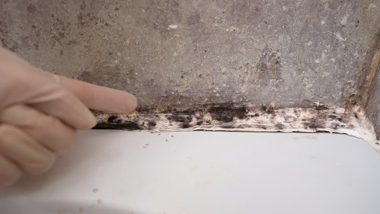 Best HVAC Mold Inspection and Cleaning  in Croton On Hudson, NY